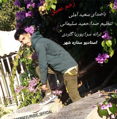 سعید آملی زخم عمیق